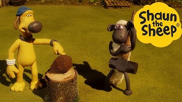 Shaun the Sheep 🐑 COCONUT - Cartoons for Kids 🐑 Full Episodes Compilation [1 hour]