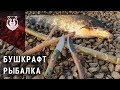 Как поймать сома без удочки