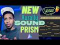 Prism Audio-to-MIDI Tool by Aurally Sound Is It Good? #plugins