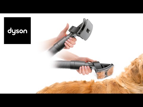 Mess-free vacuum-assisted dog grooming. See the Dyson Groom tool in