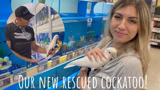 Cockatoo Goes To The Petstore! This Will Make You Smile!