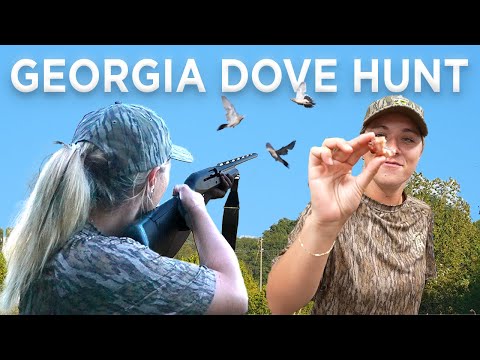 Dove Hunting an Old Chicken Farm 
