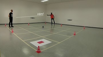 Gesture Vocabulary for Human-Swarm Interaction