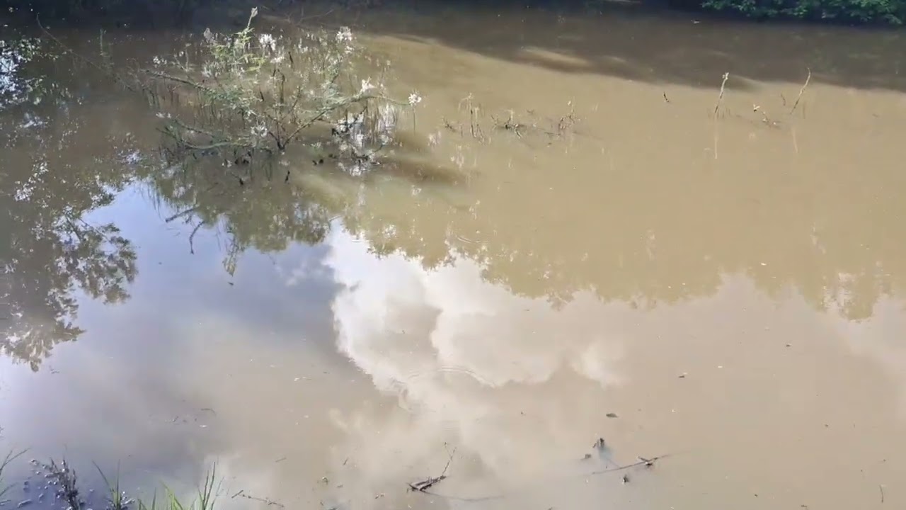Visita outra na velha casa tudo verde graças a Deus 
