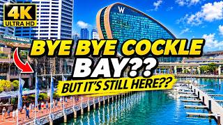 When Is Cockle Bay Starting Here's What to Know