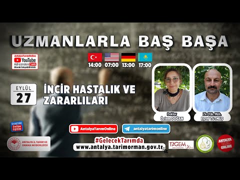 Video: İncir Ağacı Mozaiği Bilgileri: İncir Mozaiği Hastalığı Nasıl Tedavi Edilir