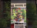 The Modern Solution for Perfect Light Control! gl blinds Chennai 8075956919