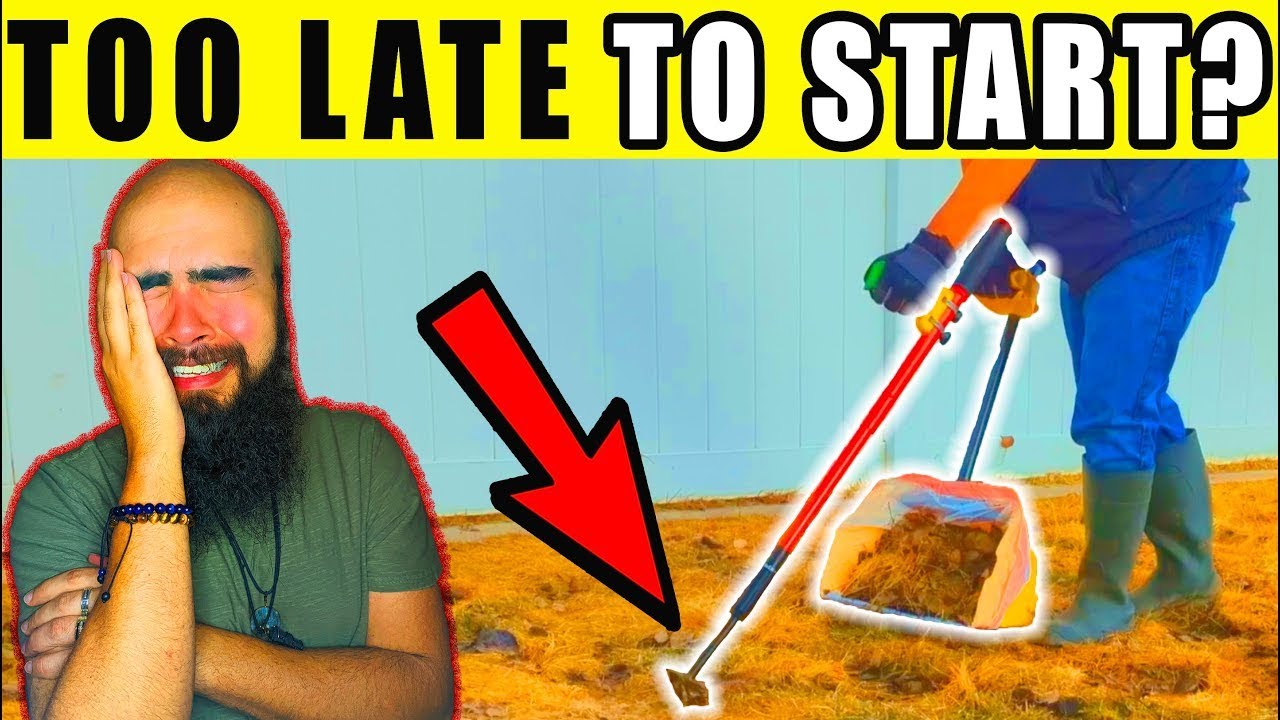 Стоит ли открывать бизнес по вывозу отходов домашних животных в 2025 году?