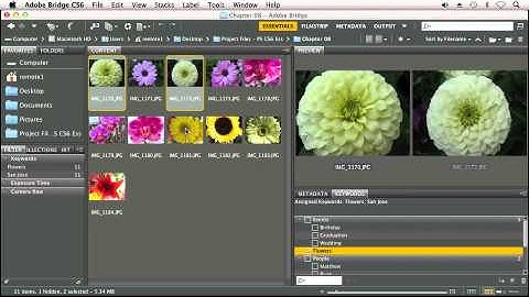 An Overview of Adobe Bridge - Adobe Photoshop CS6 Tutorial