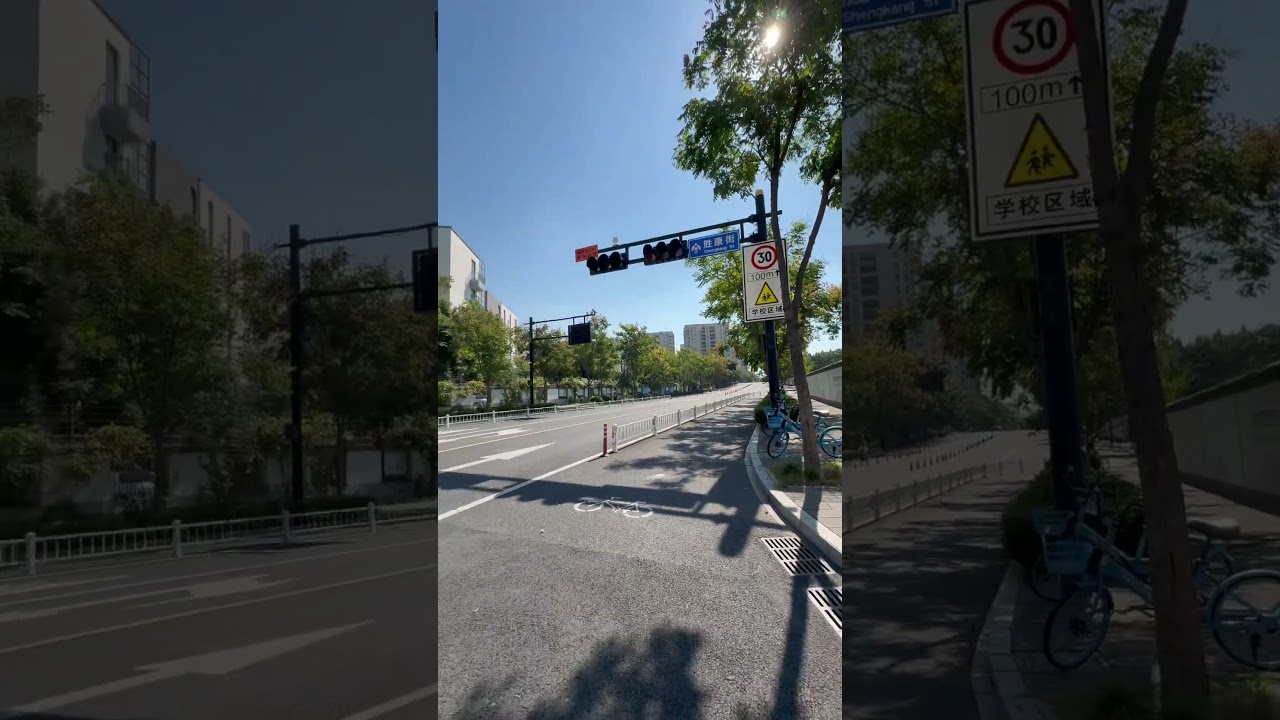 From Seed to Giant: A Tree&rsquo;s Incredible Lifespan #jummamubarak  #china #hafiz #guangzhou #viral