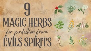 9 Magic Herbs for Protection from Evil Spirits