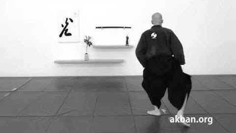 Back roll, Ninjutsu, Ushiro kaiten, basic    techniques for Akban wiki