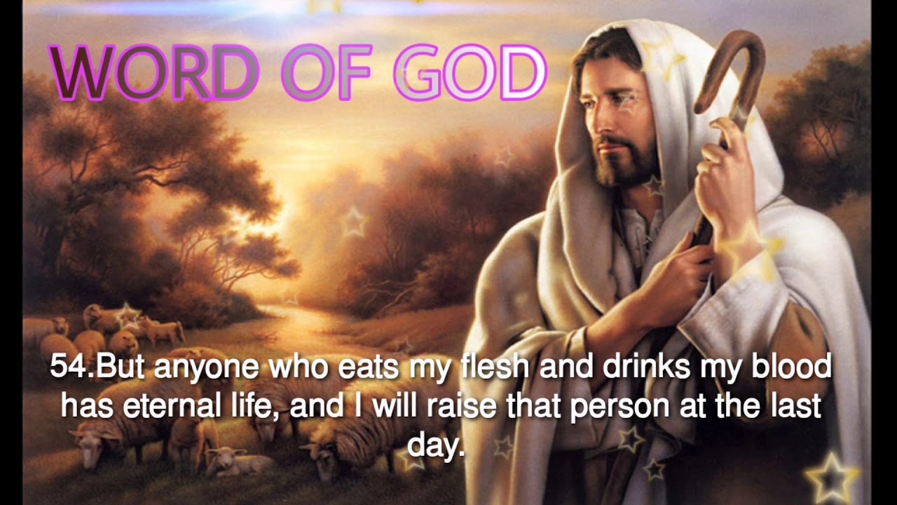 John 6 51 58 Sunday Reflection Youtube