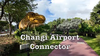 ASMR Walk  Changi Airport Connector from Terminal 4 to Terminal 2 #singapore #airport #connector