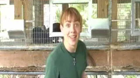 SUCKERPUNCHOFCUTEBUNNIESITIS - IE8 PSA Contest