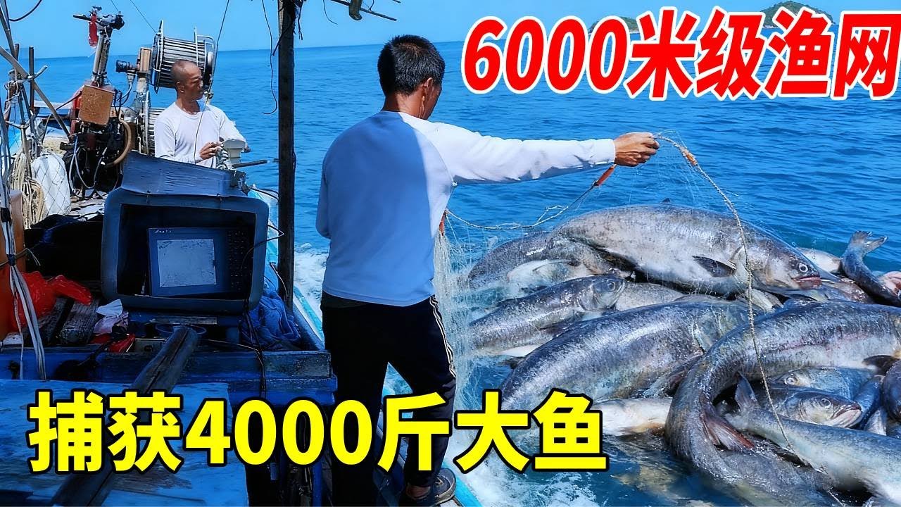朋友花4000块，承包我们6000米渔网，带大家看看收获怎么样！