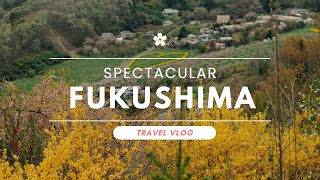 Spectacular FUKUSHIMA Travel - Witness an Enchanting 1,000-Year-Old Cherry Blossom Tree