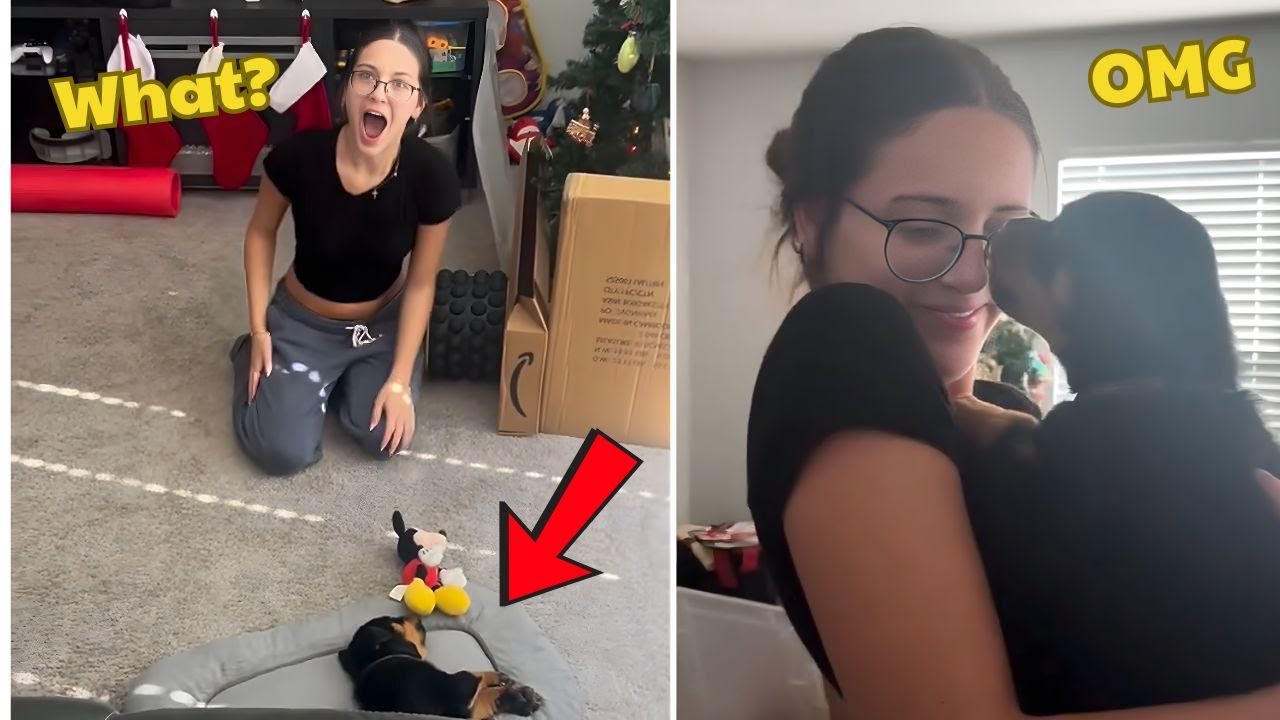 When Kids Finally Get The Puppy They’ve Always Dreamed Of! 💕 Heartwarming Surprise