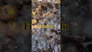 ful madu minim resin #trigona #linotaceh #cekeci #galo-galo #kelulut