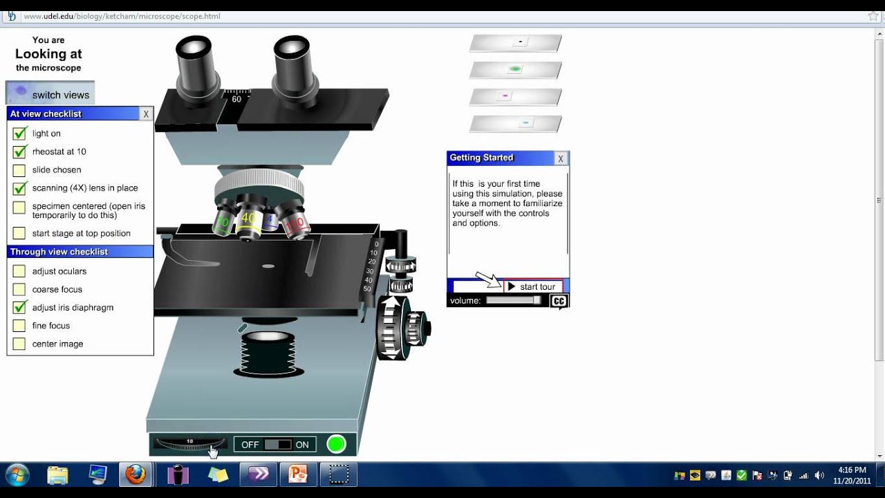 virtual-microscope-lab-worksheet-answers-ivuyteq