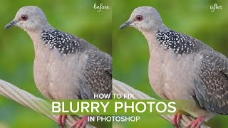 How to Fix Shaky Blurry Photos in Photoshop