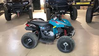 2026 Can-Am Renegade 110 EFI Youth ATV