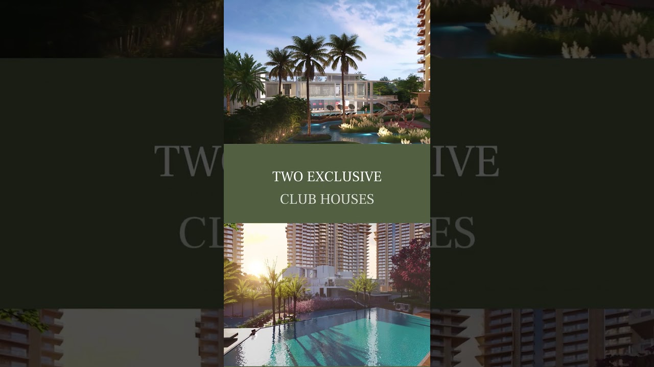 Ivory County | County Group