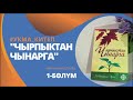 #УКМА_КИТЕП &quot;ЧЫРПЫКТАН ЧЫНАРГА&quot; 1-бөлүм (үй-бүлө тууралуу китеп)