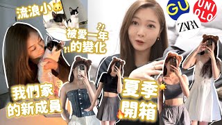 [VLOG]我們家的新成員•••流浪小貓被愛一年的變化🐱出去買夏裝!GU+Uniqlo+ZARA夏季開箱+GRWM🔥🧸Heyman Lam🧸(部份合作內容)