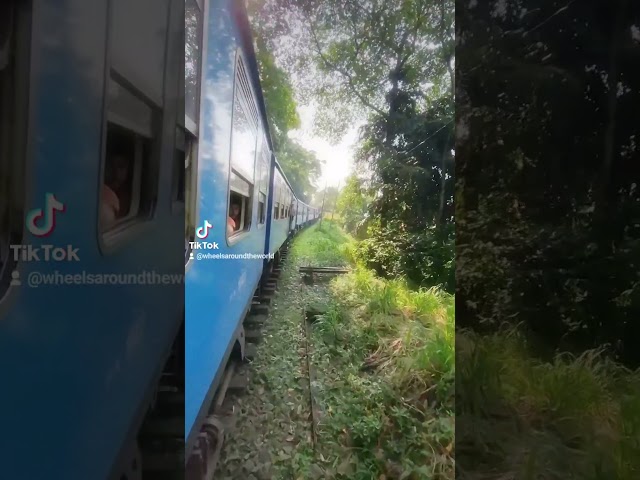 Train going from Nuwara Elya to ella in Sri Lanka. Beautiful landscapes.