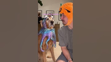 Trying on Halloween costumes with my dog