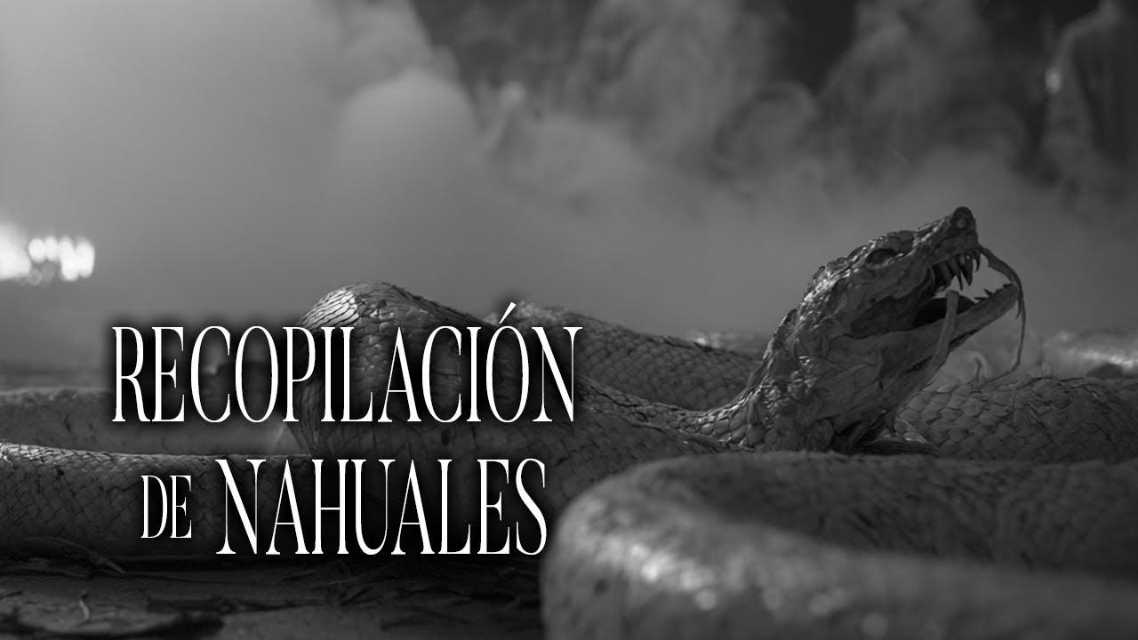 NAHUAL DEMONIACO Transforma A Mi Macota Historias De Terror - REDE