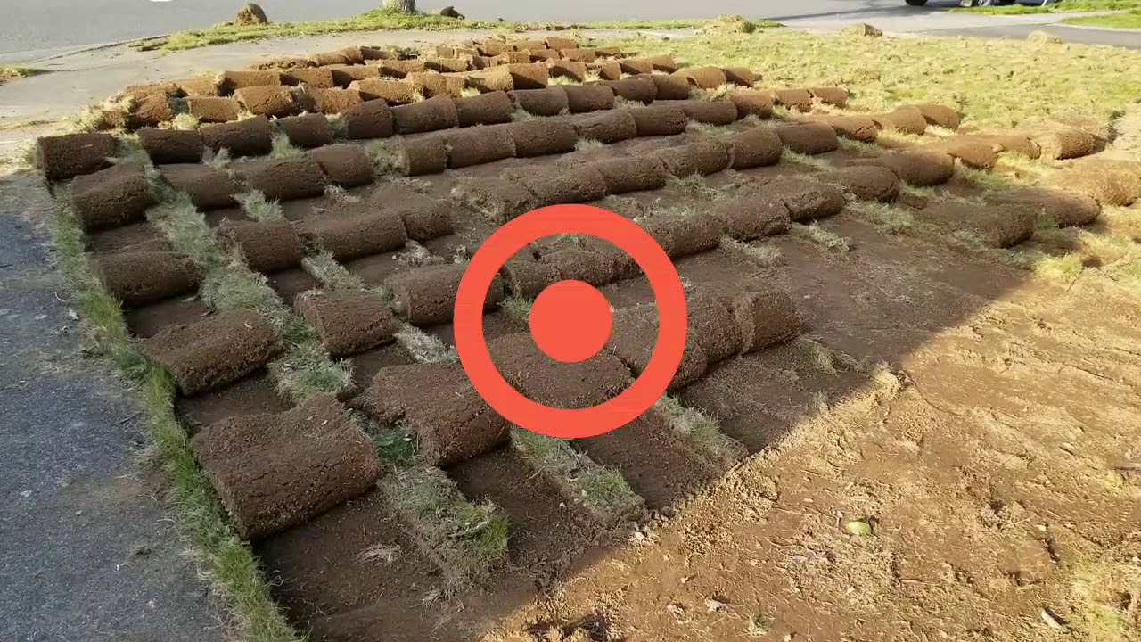 Sod Installation by Clean Cut Landscape, Lynden WA, New Turf in