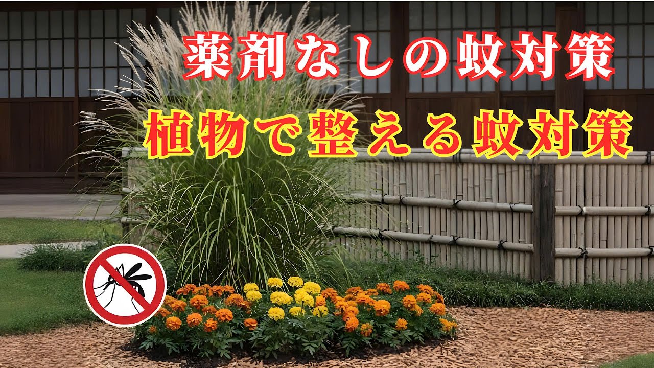 特別なことは不要。この植物が蚊の多い空間を変えます