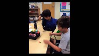 Fourth Grade STEM Project