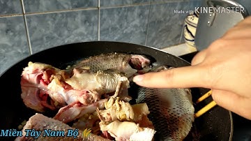 CHÁO CÁ LÓC ĂN CÙNG RAU  ĐẮNG ĐẤT ĐẶC SẢN MÌỀN QUÊ  # fish soup