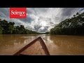 Making contact: The isolated tribes of the Amazon rainforest