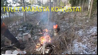 Download Lagu Miten onnistuu nuotio märästä koivusta? MP3