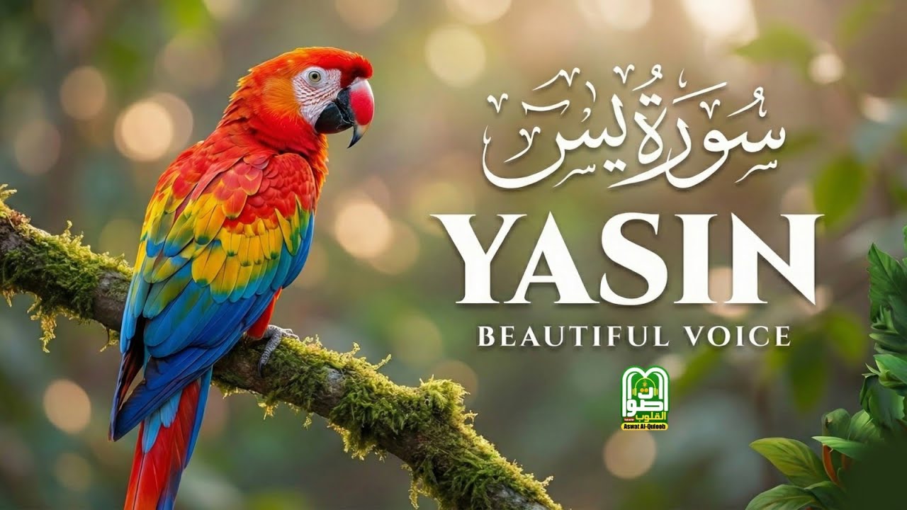 Surah Yaseen Full (سورة يس) Beautiful And Heart-Touching Recitation  With EnglishSubtitles