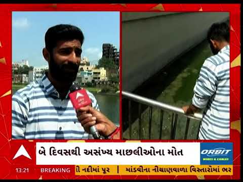 Vadodara news | વડોદરા શહેરના સુરસાગર તળાવમાં બે દિવસથી અસંખ્ય માછલીઓના મોત