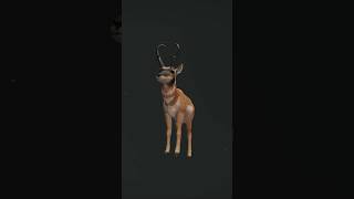 Huge diamond 💎 Pronghorn! - Hunter call of the wild #cotw #expansiveworlds #gaming