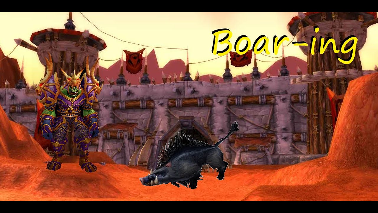 Best starting pet for Hunter's? YouTube