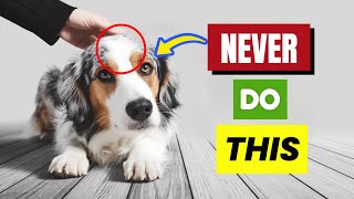 7 Things Dogs HATE More Than Being PICKED UP!