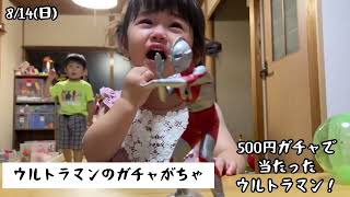 【2022/8/14】築52年の家！田舎薬局長のほのぼの毎日ルーティーン