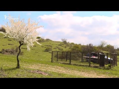 ოკუპირებული საფლავები \"საზღვართან\"
