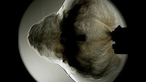 285 Billionths of a Second Exposure Schlieren Imaging of Glock 9mm - Aimed Research