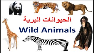 الحيوانات البرية باللغة الانجليزية - Wild animals in English