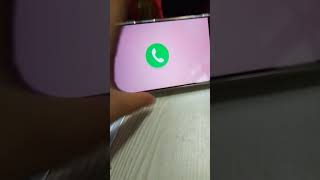 Declining Sago Minis Call