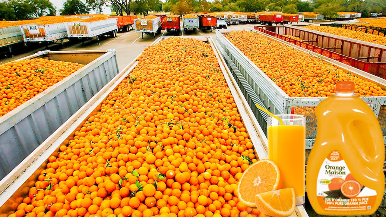 orange juice factory tour near me