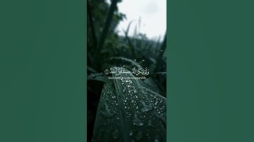 ##القرآن الكريم #سورة الإخلاص #القارئ_الشيخ حمزة بوديب #اللهم صل وسلم وبارك على نبينا محمد